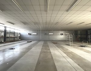 Depozit 600mp 2 rampe + birouri 180mp, 14 parcari, Lidl - Baciu