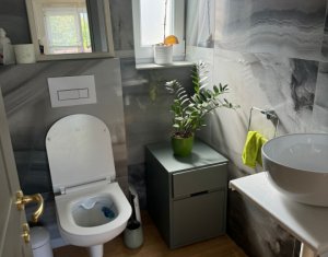 Casa individuala, Andrei Muresanu, terasa penthouse, parcare, curte