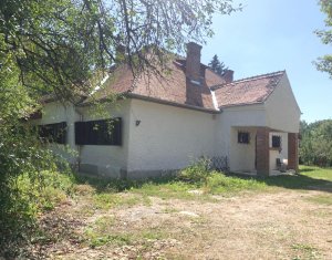 Iroda kiadó on Cluj-napoca, Zóna Centru