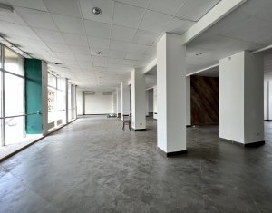 Spatiu comercial sau birouri 274mp piata Cipariu mezanin