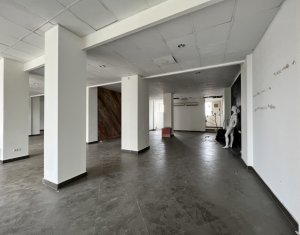 Espace Commercial à louer dans Cluj-napoca, zone Centru