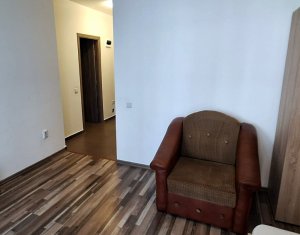Appartement 1 chambres à louer dans Cluj-napoca, zone Iris