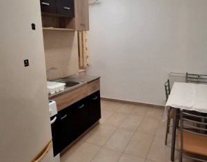 Appartement 1 chambres à louer dans Cluj-napoca, zone Iris