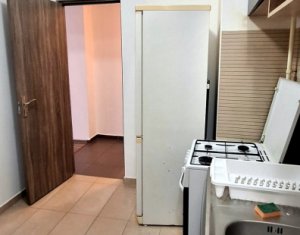 Appartement 1 chambres à louer dans Cluj-napoca, zone Iris