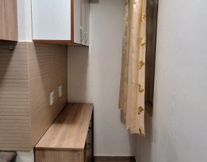 Appartement 1 chambres à louer dans Cluj-napoca, zone Iris