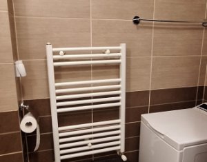 Appartement 1 chambres à louer dans Cluj-napoca, zone Iris