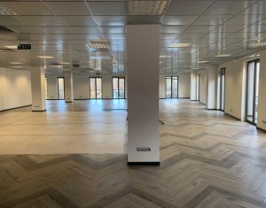 Birouri moderne 500mp, locatie ultracentral, piata Muzeului 