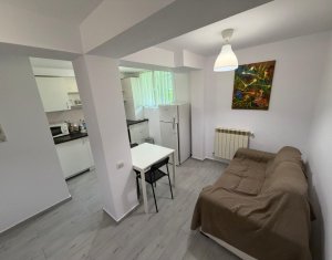 Apartment 1 rooms for rent in Cluj-napoca, zone Manastur