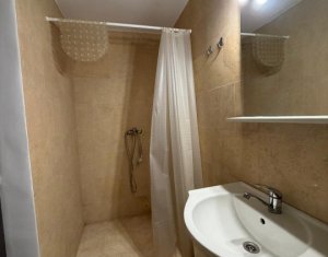 Apartment 1 rooms for rent in Cluj-napoca, zone Manastur