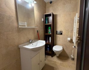 Apartment 1 rooms for rent in Cluj-napoca, zone Manastur