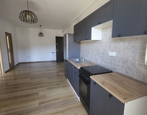 Apartment 1 rooms for rent in Floresti