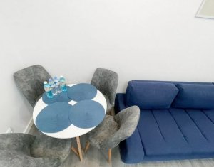 Central, PET FRIENDLY, 2 camere,  Piața Mihai Viteazu 