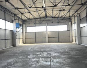 Hala depozitare sau productie743 mp, 145mp birouri, Someseni - Aeroport