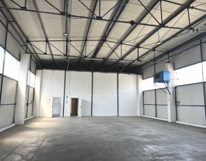 Hala depozitare sau productie743 mp, 145mp birouri, Someseni - Aeroport