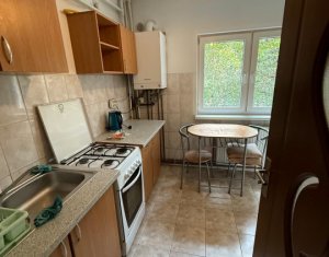 Appartement 1 chambres à louer dans Cluj-napoca, zone Plopilor